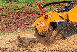 Leaf Removal in Cooper, TX